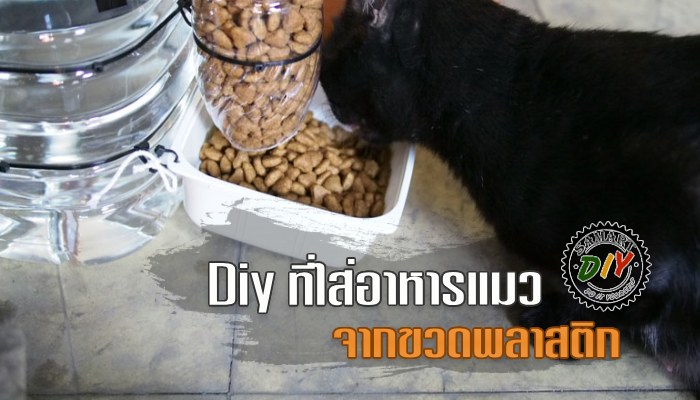 Diy ที่ใส่อาหารแมว จากขวดพลาสติก